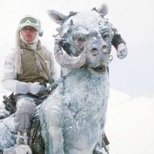 Meet your Posher, Jodi